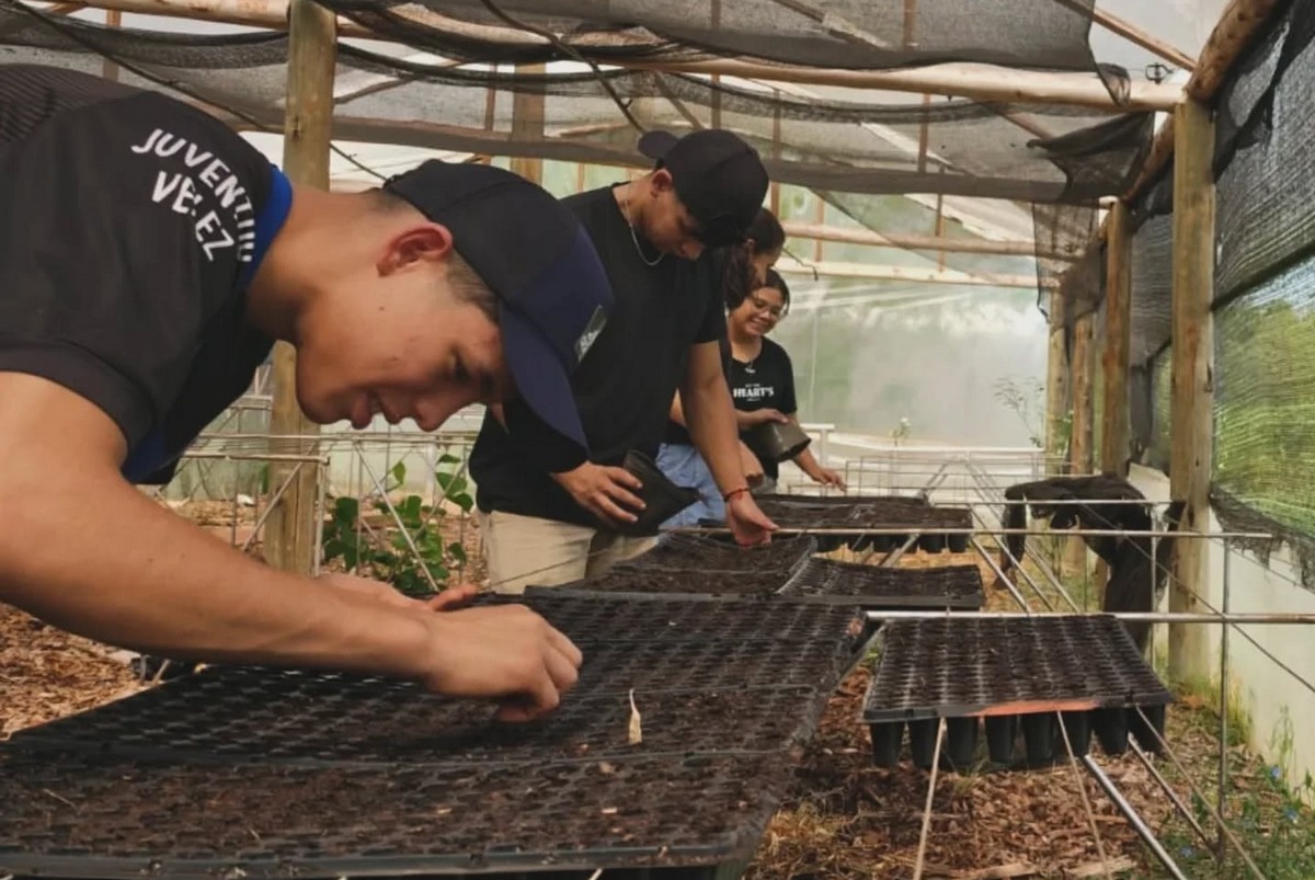 Primeras experiencias en el Campo Experimental de Prácticas